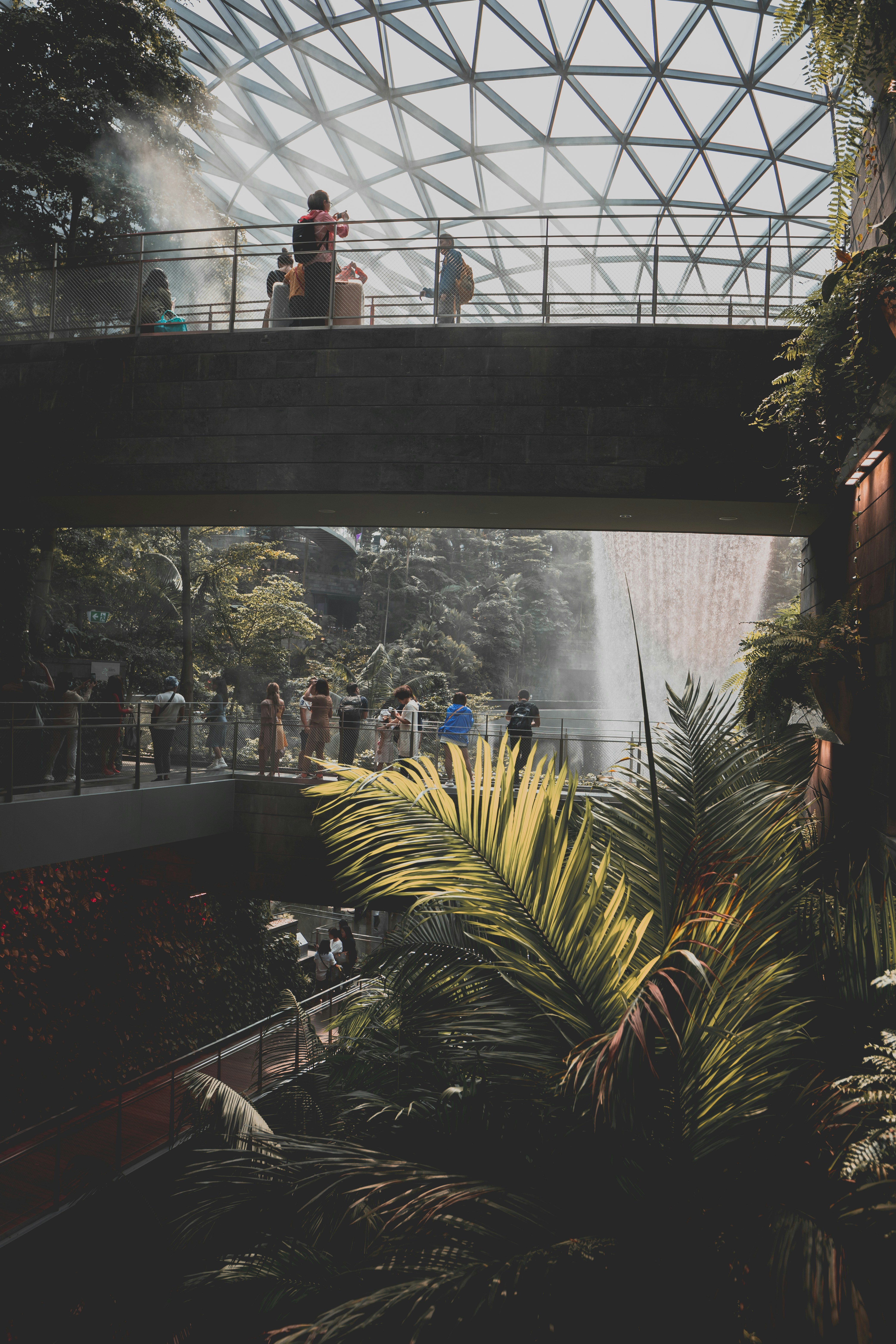 Photo by marksarmiento