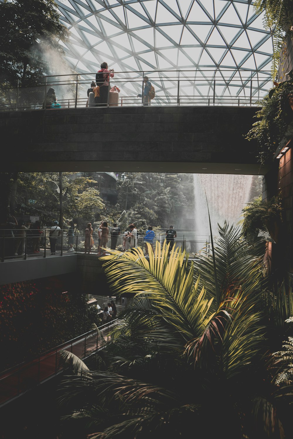 a group of people standing on a bridge over a pond