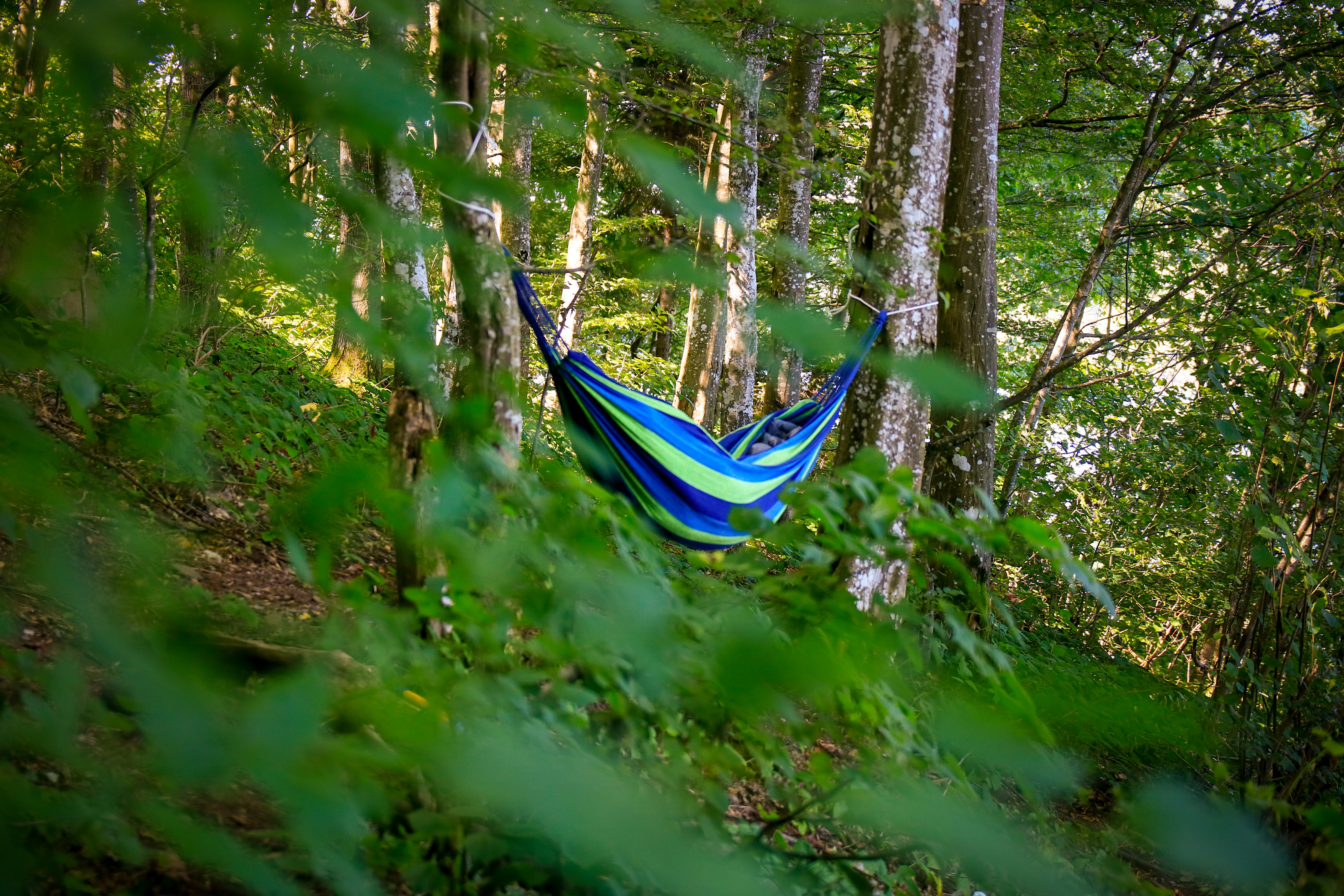 Cozy Camping Hammock