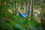 Hammock hanging between trees on a wooden deck surrounded by dense forest greenery.