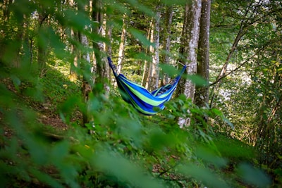 A lightweight portable hammock hanging between two trees in a forest.