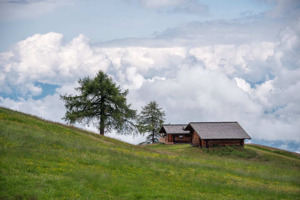 brown houses and white clouds