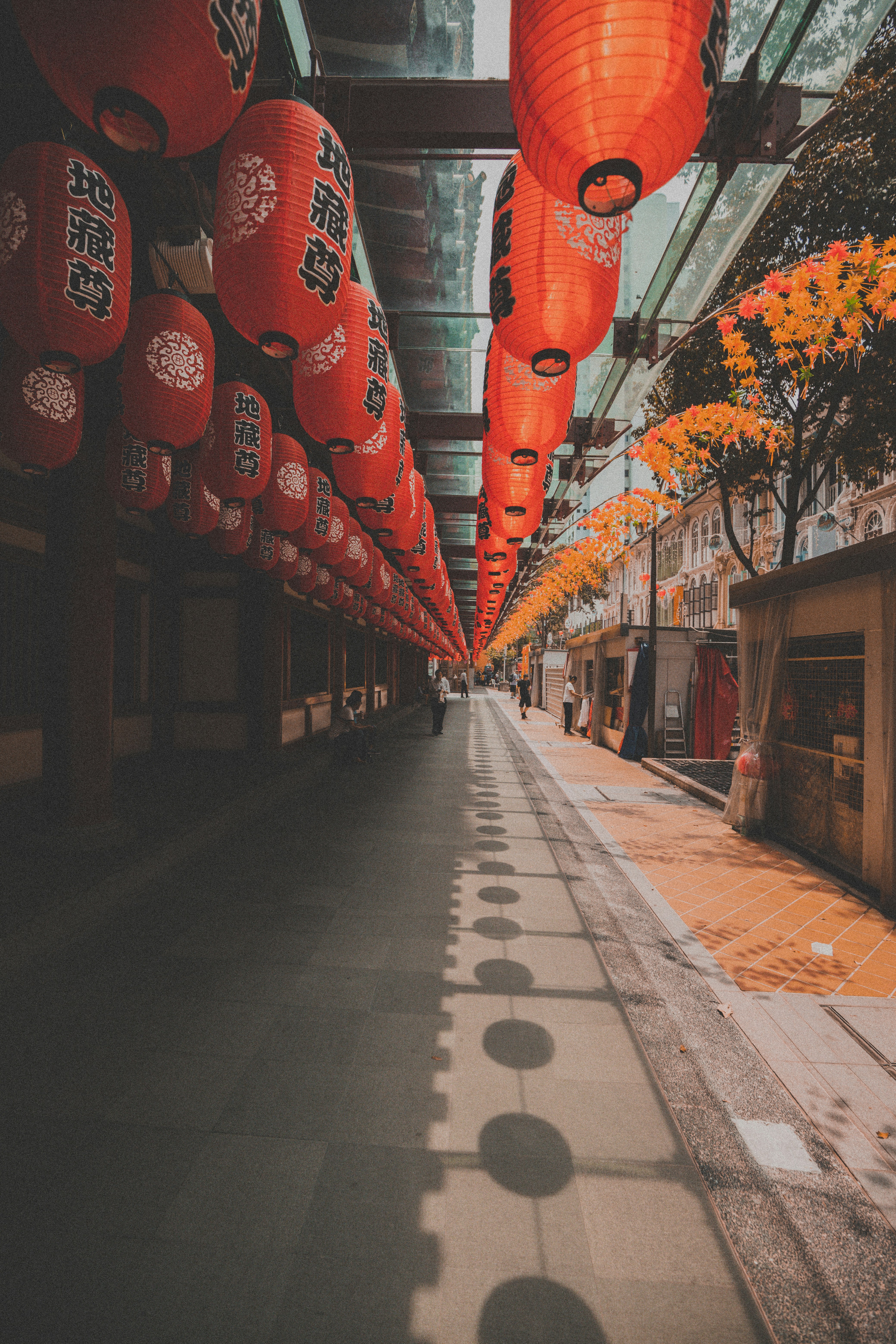 Photo by marksarmiento