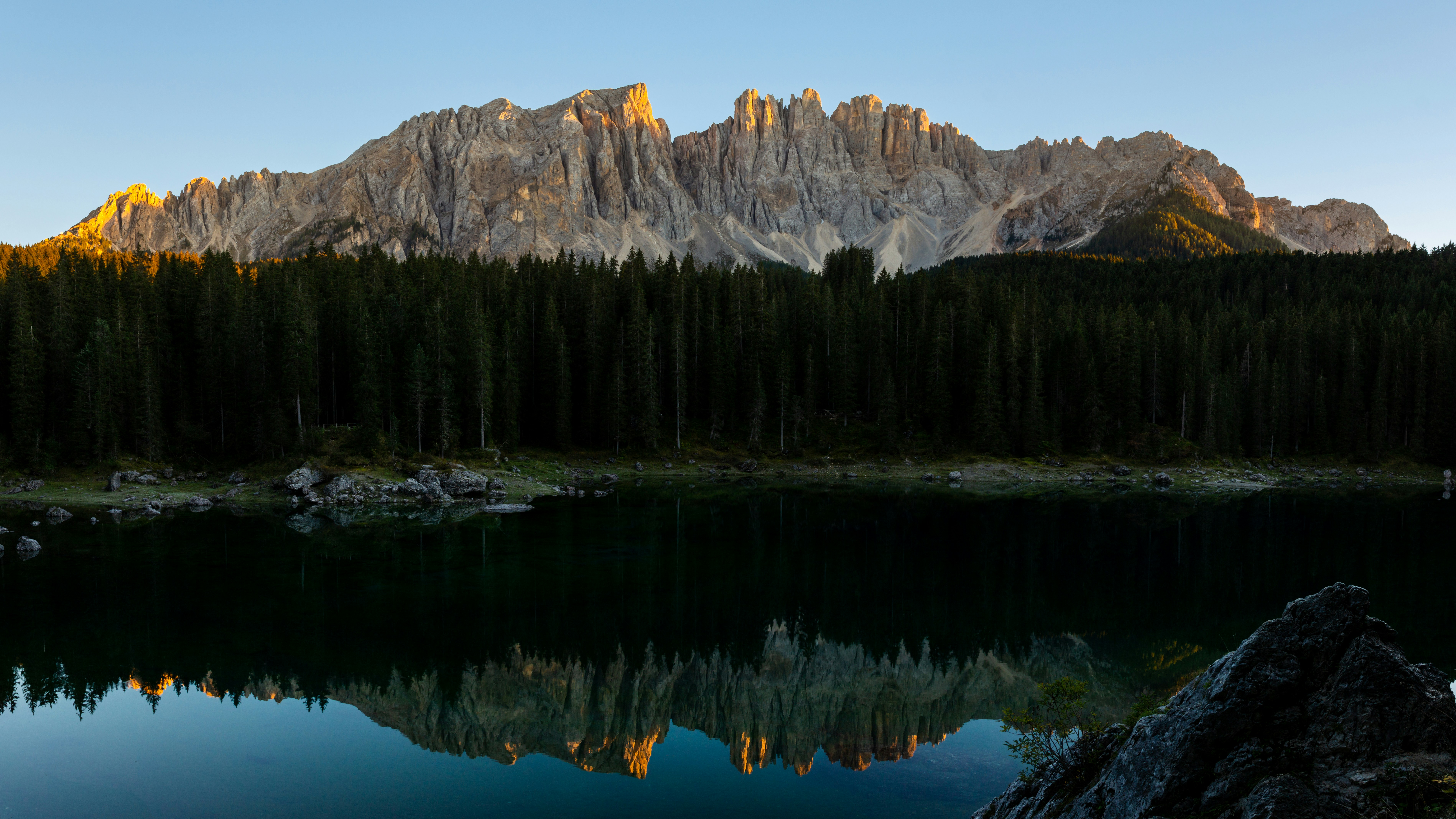 Bosque de pinos cerca del cuerpo de agua