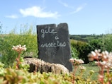 A slate sign with the words 'gite à insectes' stands in a lush garden setting, surrounded by various green plants and flowers. In the background, rolling hills and a clear blue sky create a serene and natural environment.