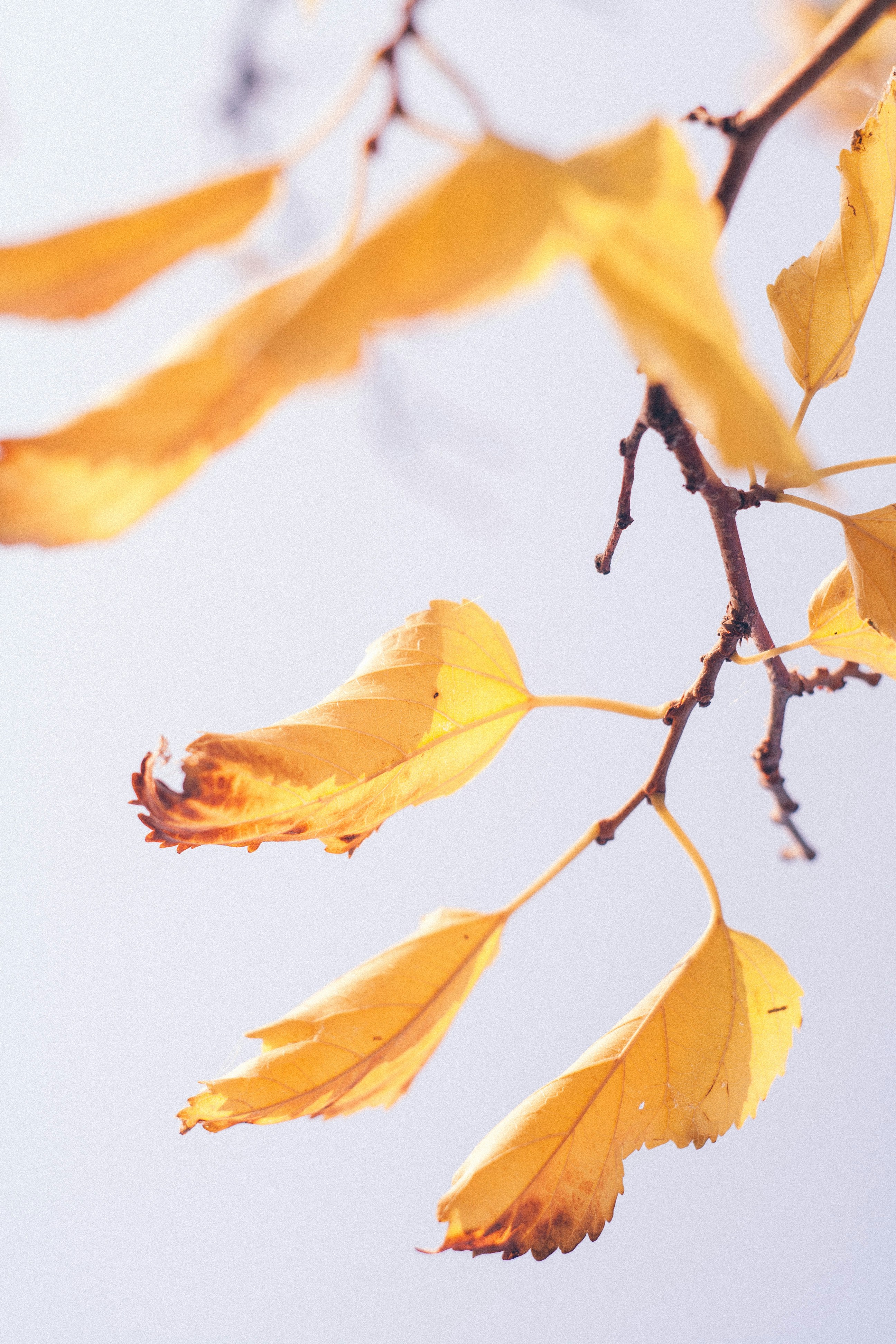 Photo by onmywayhome