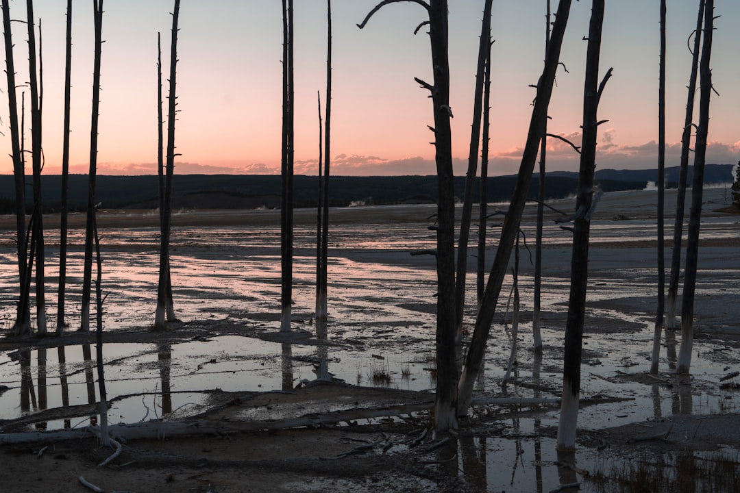 plants on shore