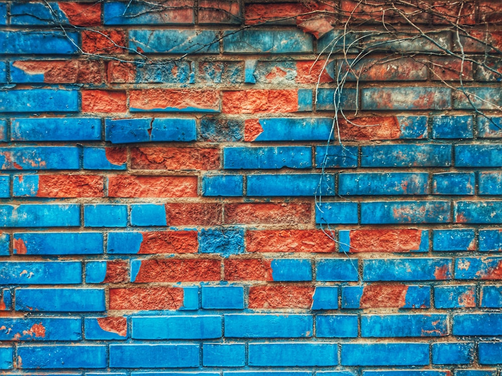 blue and red concrete wall