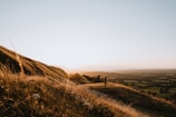 A person standing confidently on a hilltop, overlooking a vast landscape at dusk.