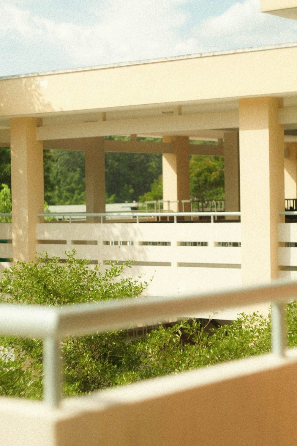 white concrete building