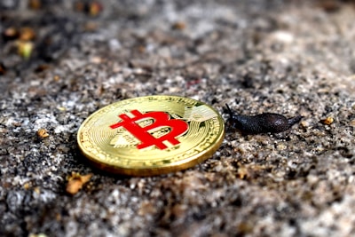A small black snail is adjacent to a shiny gold coin with a red Bitcoin symbol embossed on its surface. The scene is set against a rough, textured stone background, with some small bits of debris scattered around.