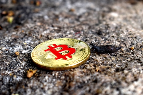 A small black snail is adjacent to a shiny gold coin with a red Bitcoin symbol embossed on its surface. The scene is set against a rough, textured stone background, with some small bits of debris scattered around.