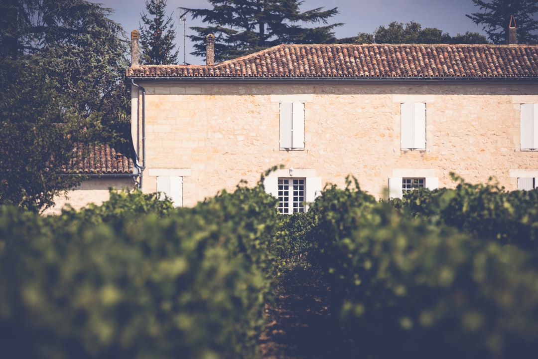 cabin near crop field, a St.Emilion vineyard and chateau in the Dordogne