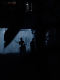 Silhouetted figures walk through a dimly lit, foggy corridor, creating a mysterious and slightly ominous atmosphere. The shadows cast by the figures and the limited light contribute to a sense of intrigue.