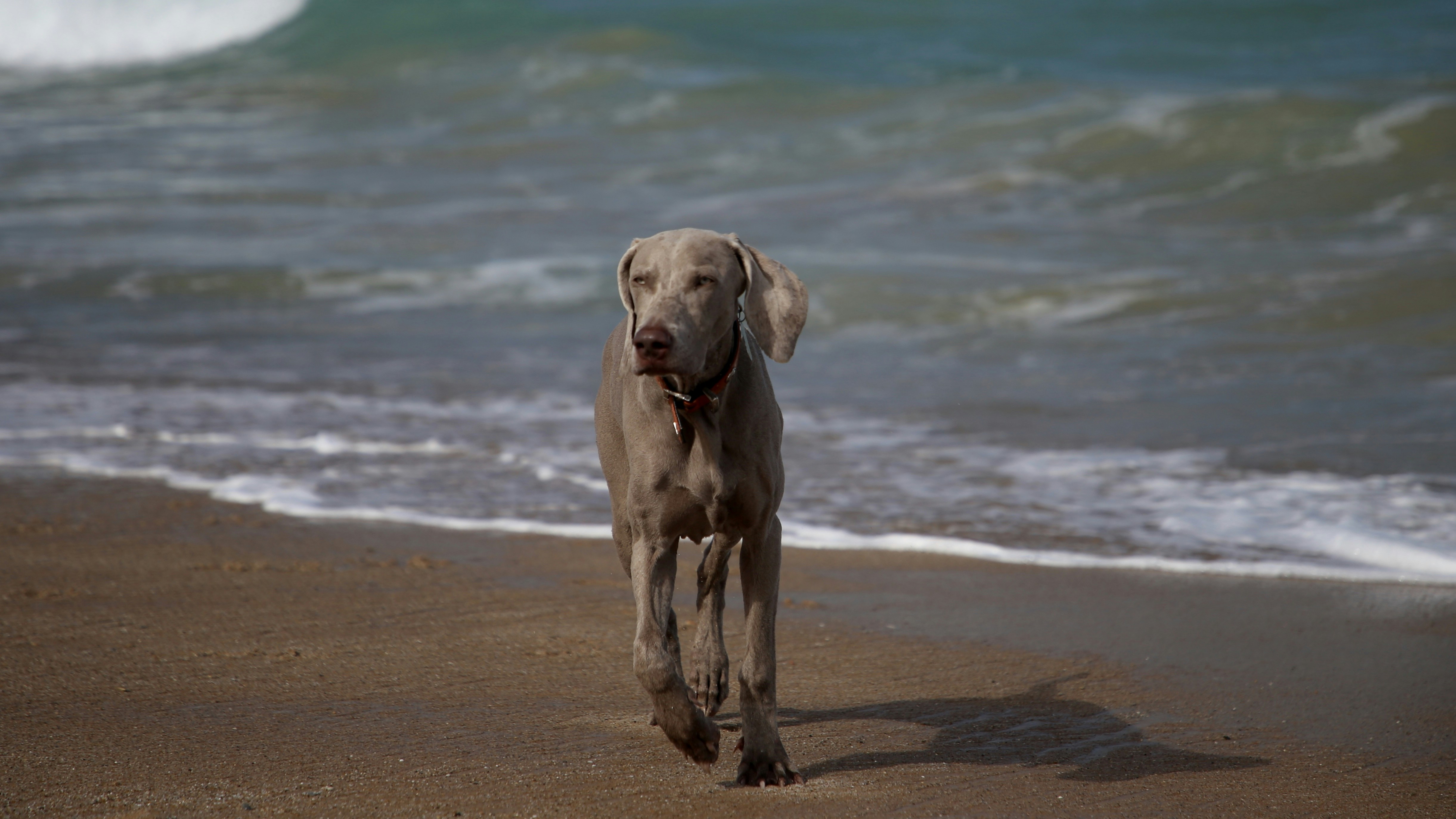 Photo by nathalie_spehner