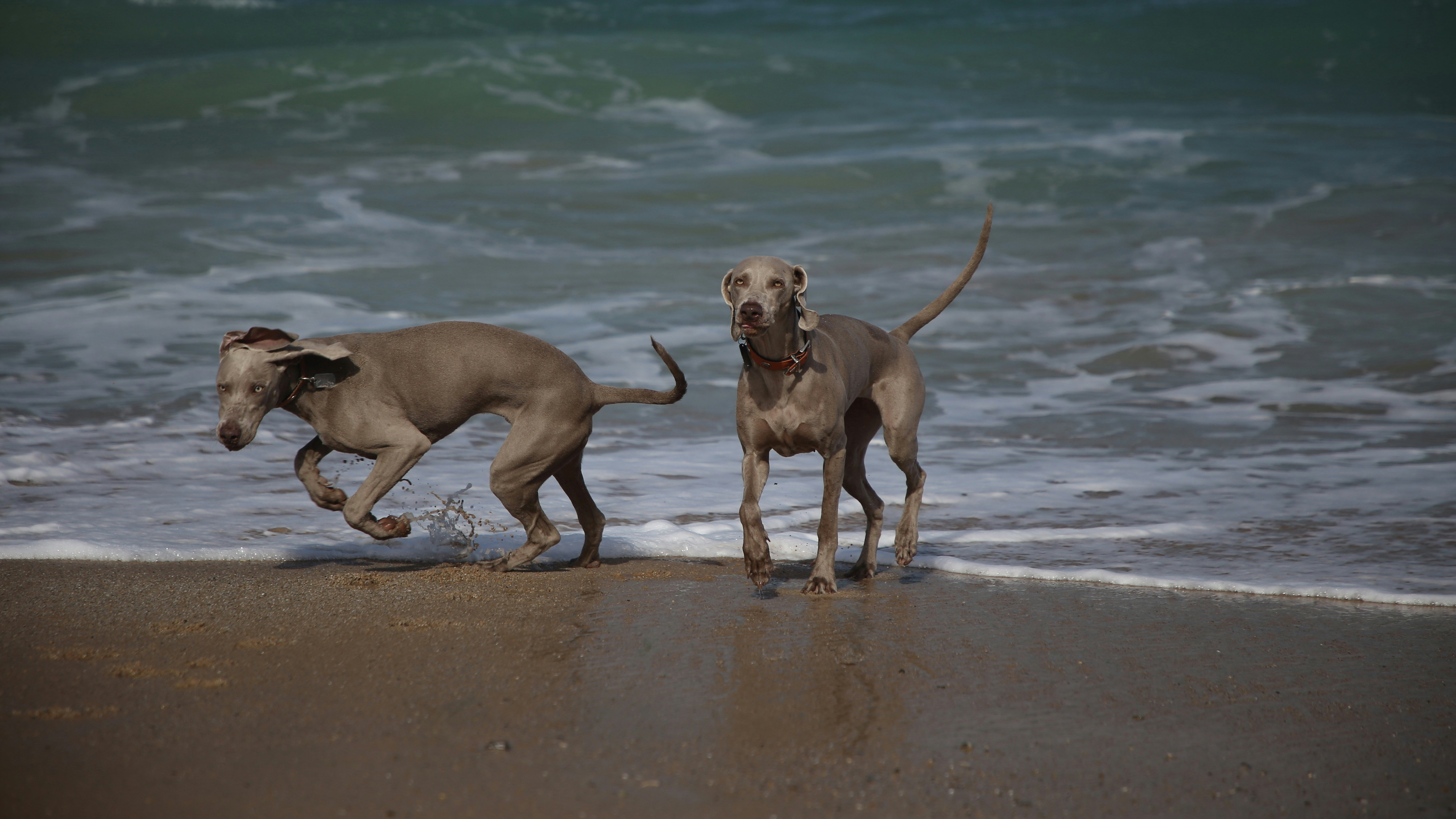 Photo by nathalie_spehner