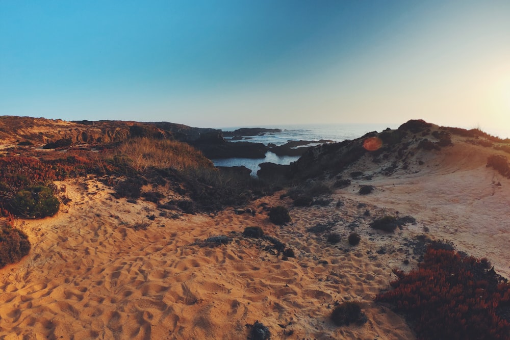 brown sand near beach