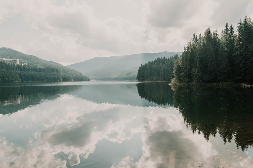 lake surrounded with tall and green trees viewing mountain during daytime