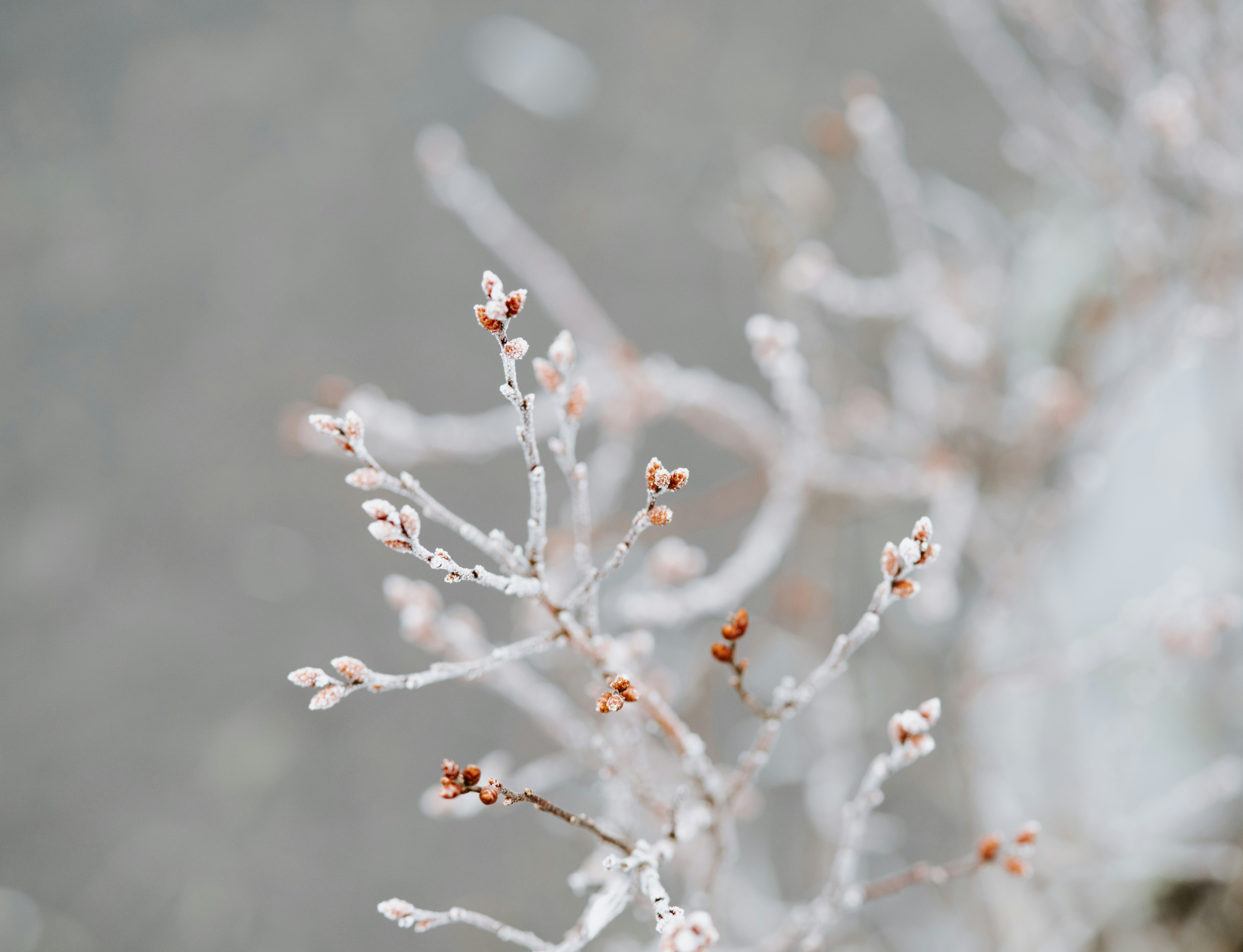 Photo by anniespratt