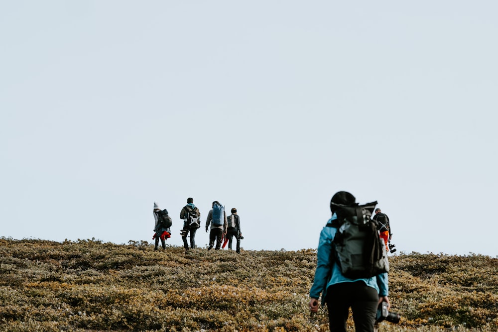 group of men carrying hiking bags standing on green mountain