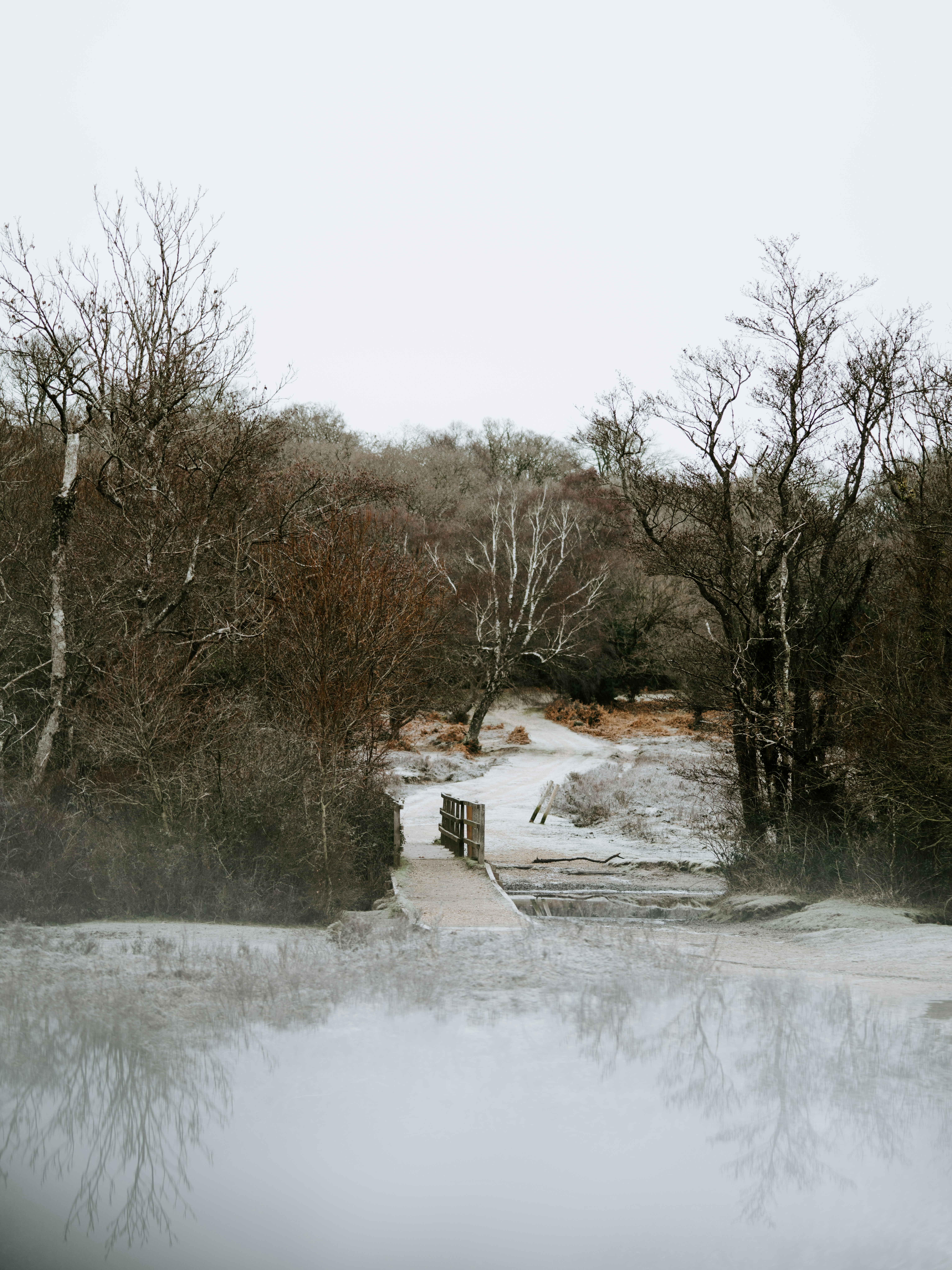 Barton Creek Greenbelt photo 2