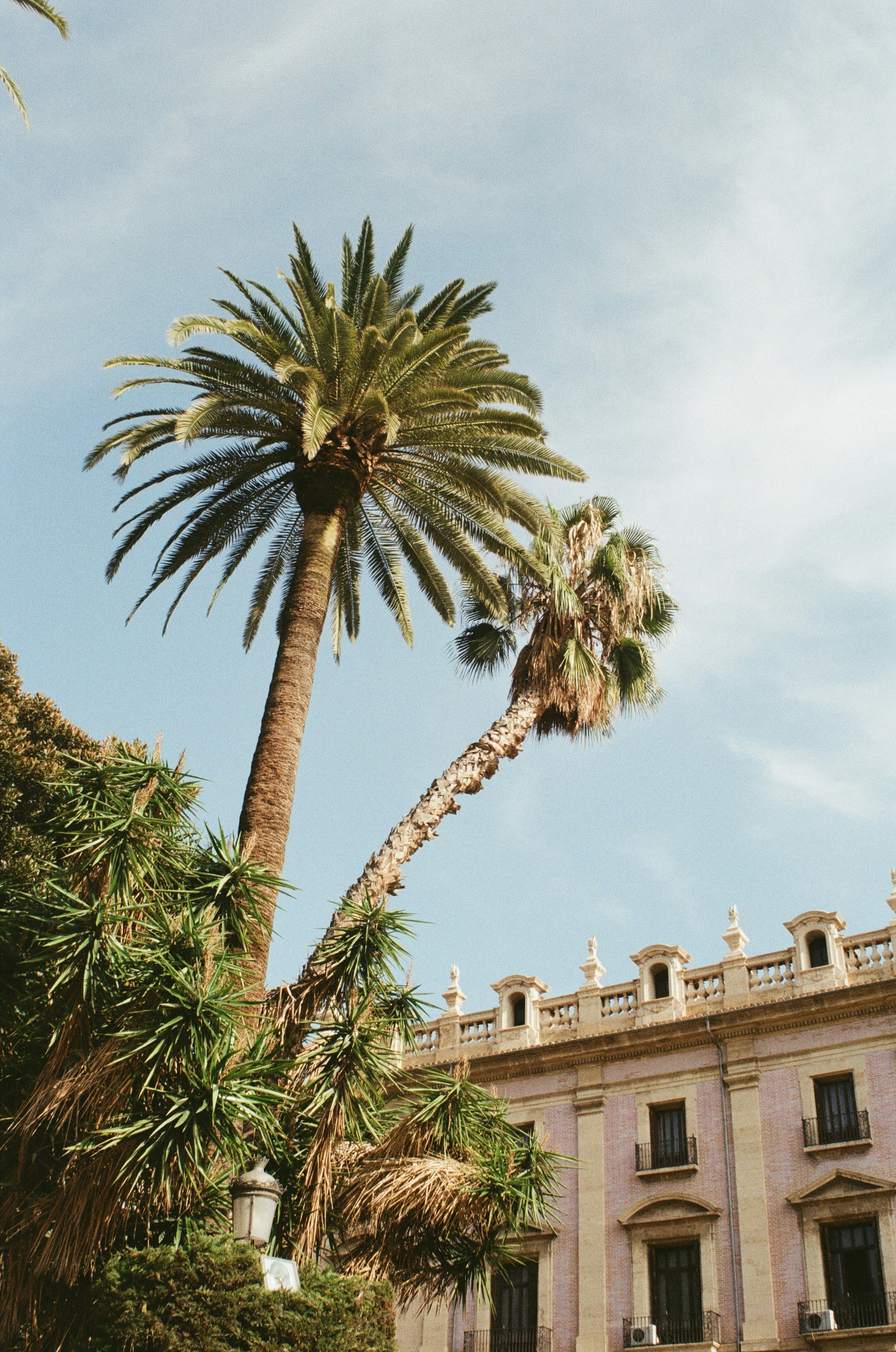 Photo by tepliyoctober