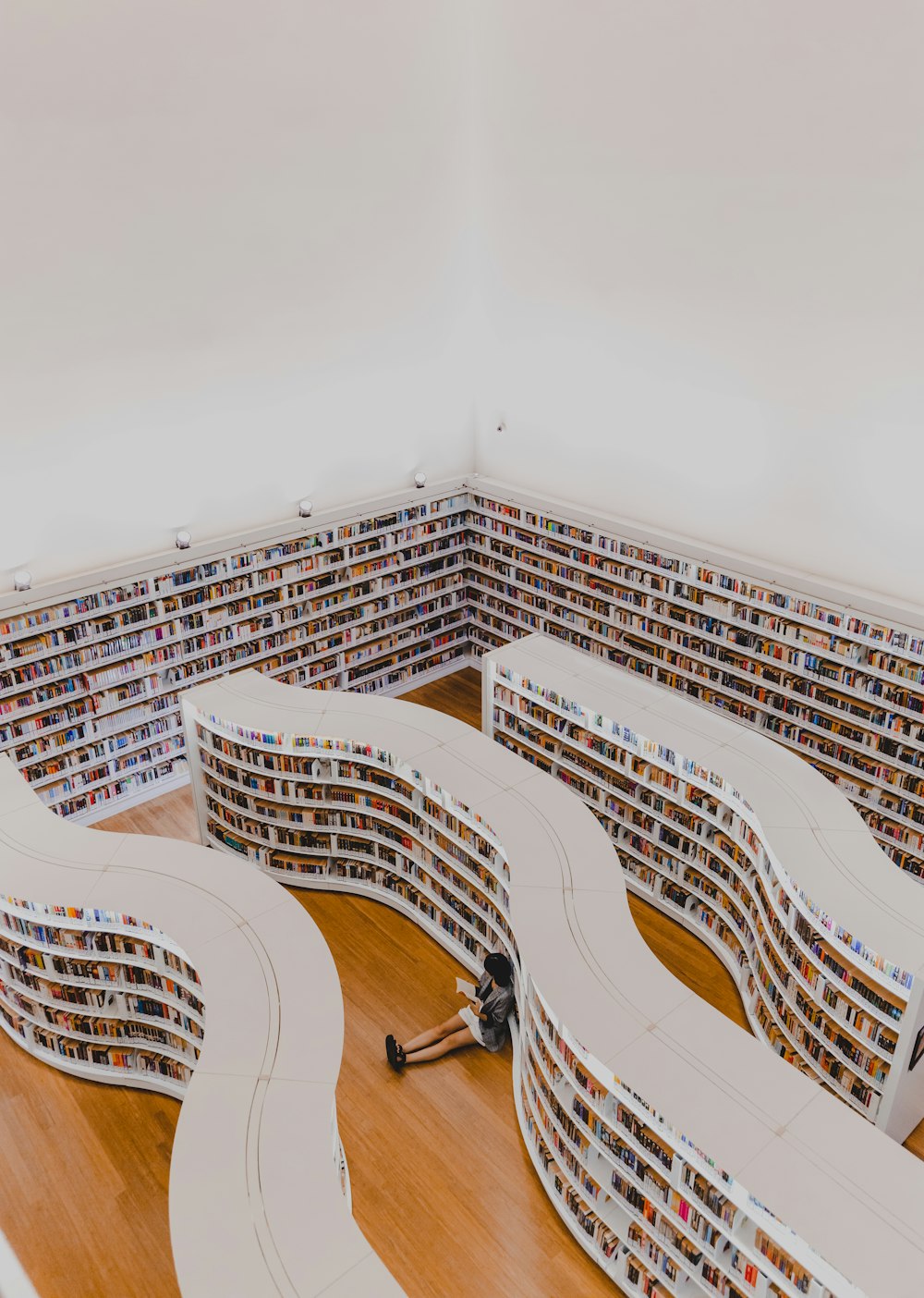 person inside library