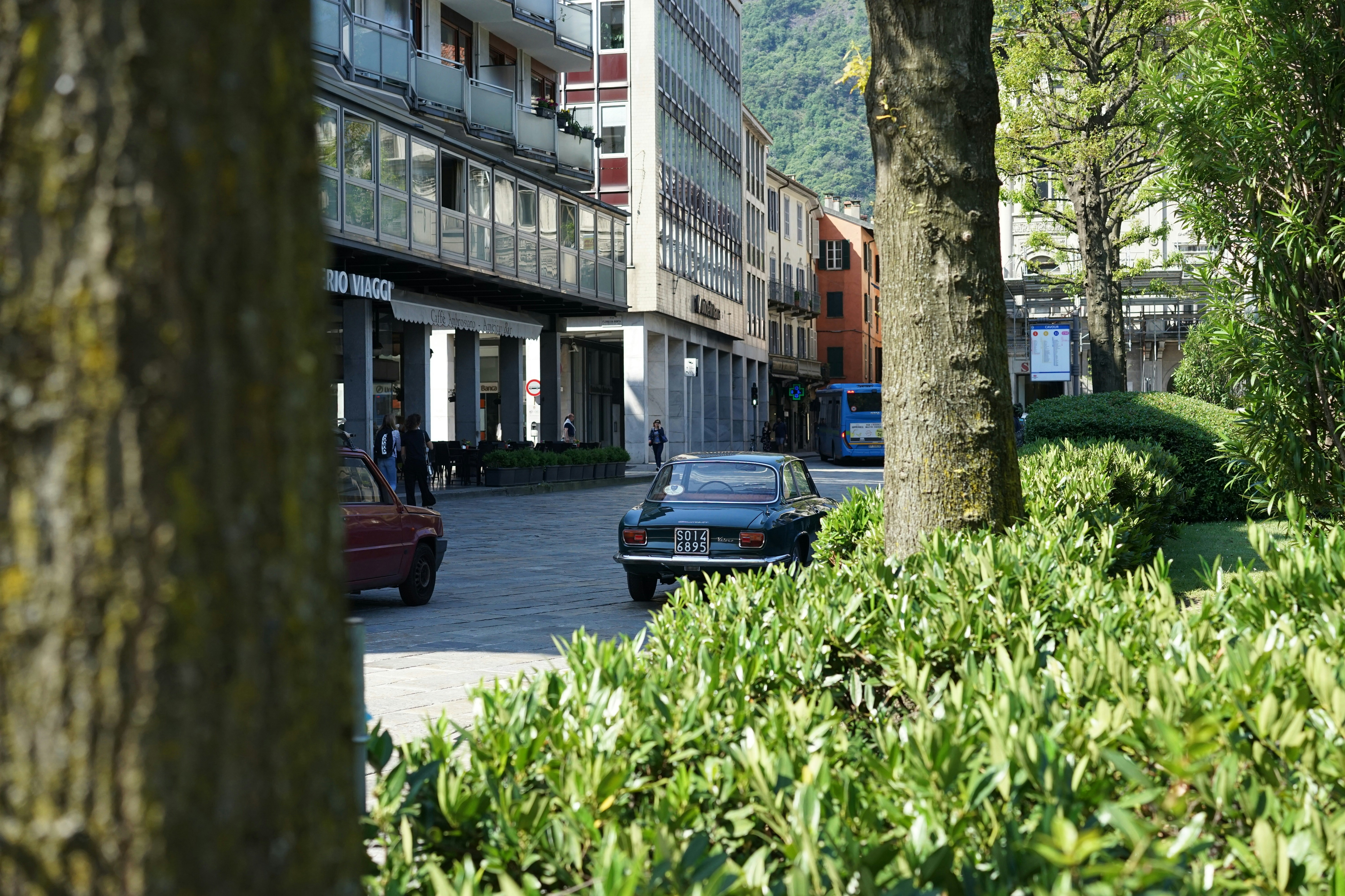 blue vehicle near trees