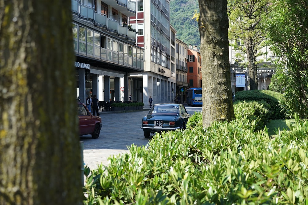 나무 근처의 파란색 차량