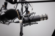 black and grey condenser microphone