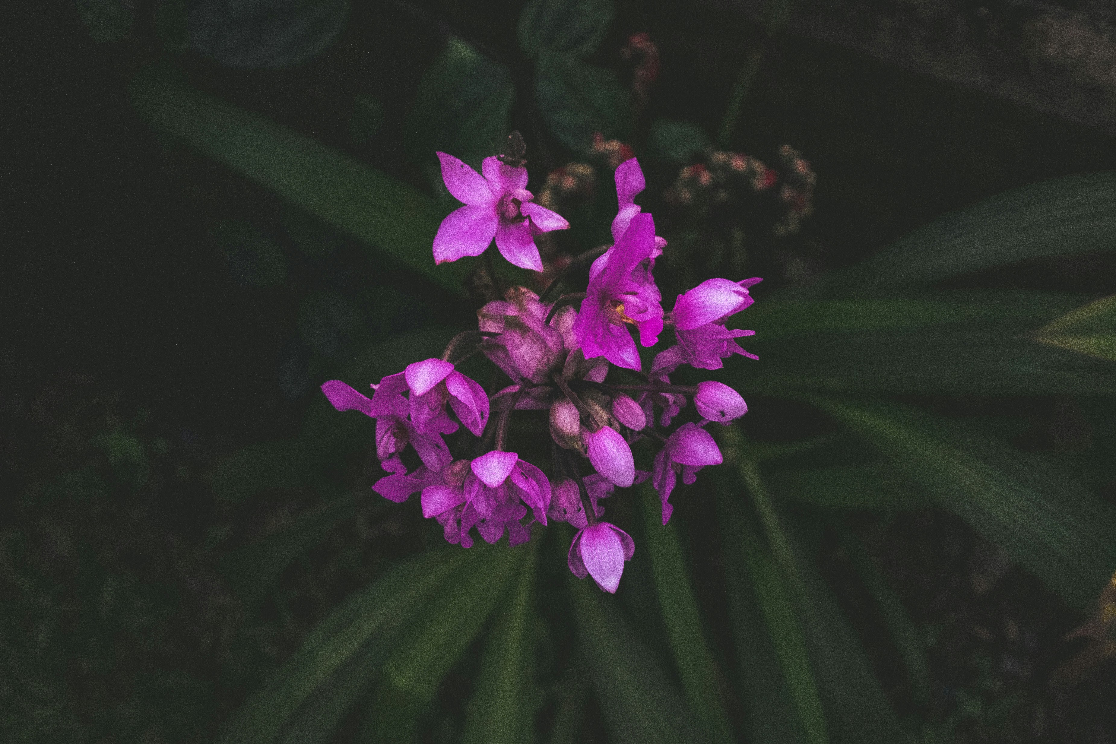 Photo by vijeshdatt