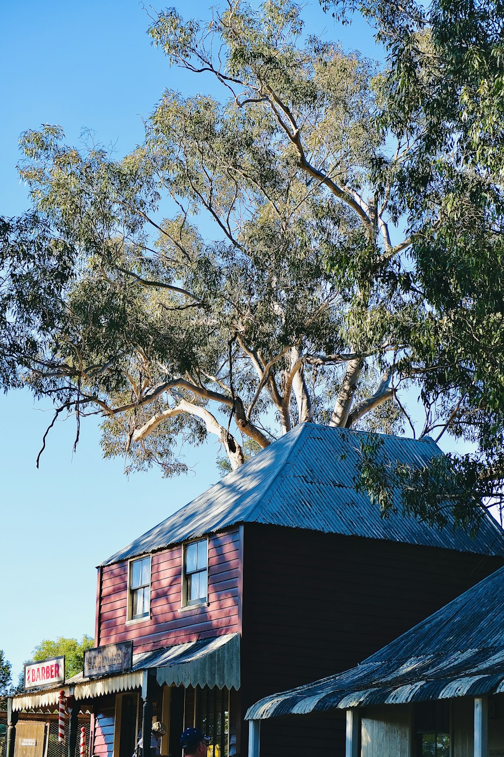 brown wooden house near green leaf trees