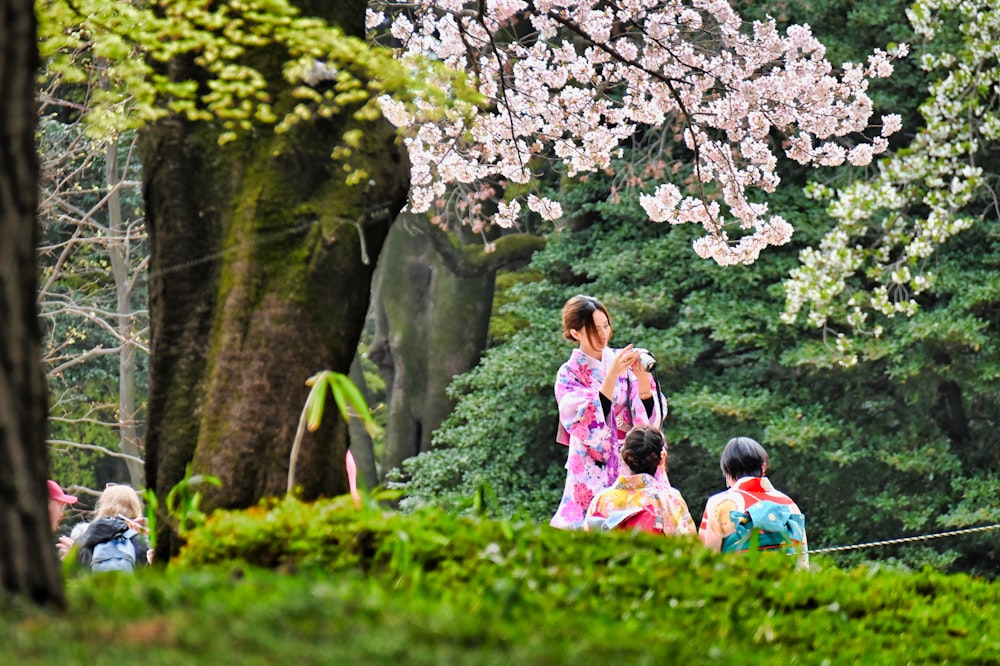 three women under pink tree during daytime