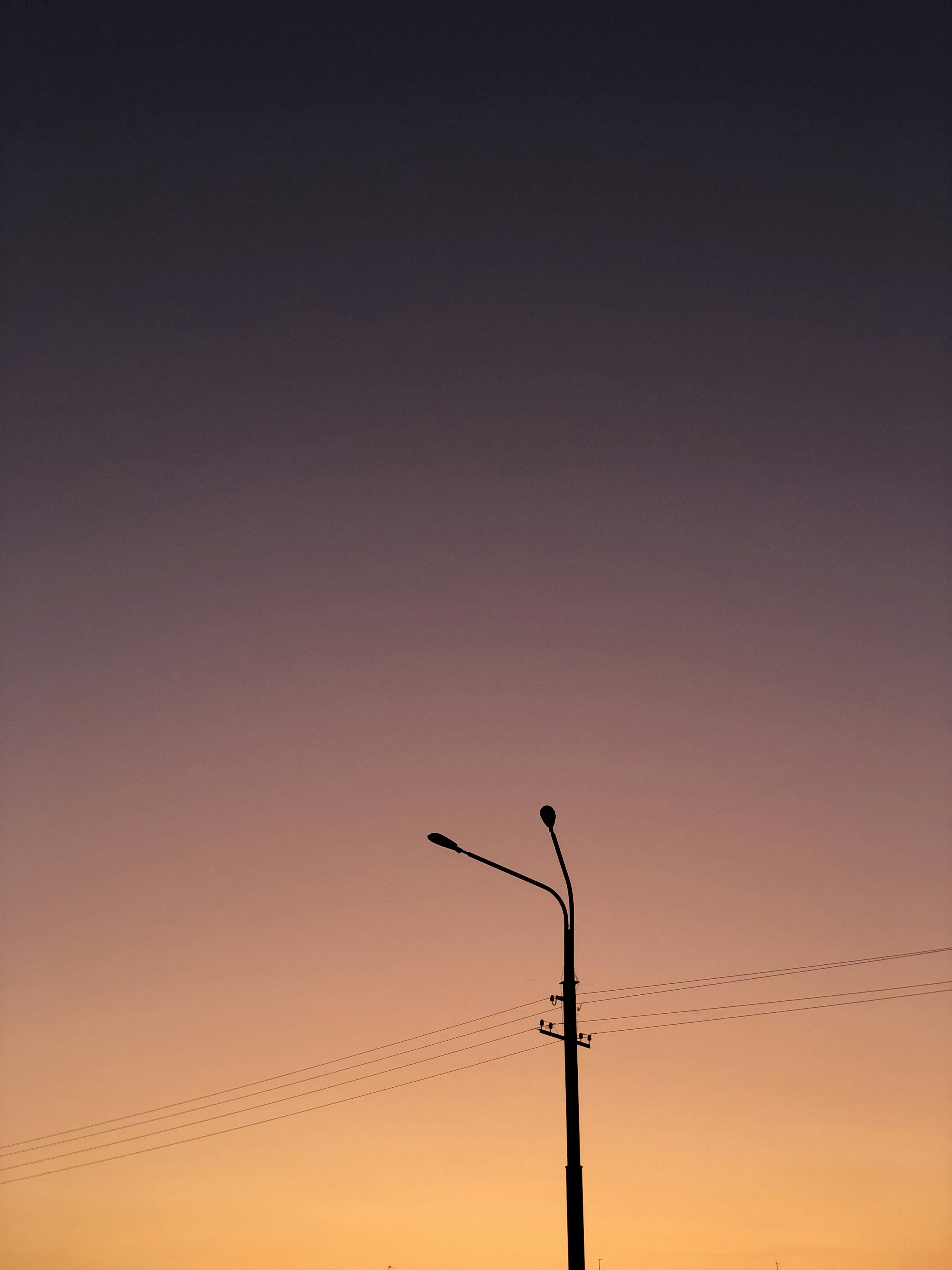 black light post photo – Free Nature Image on Unsplash