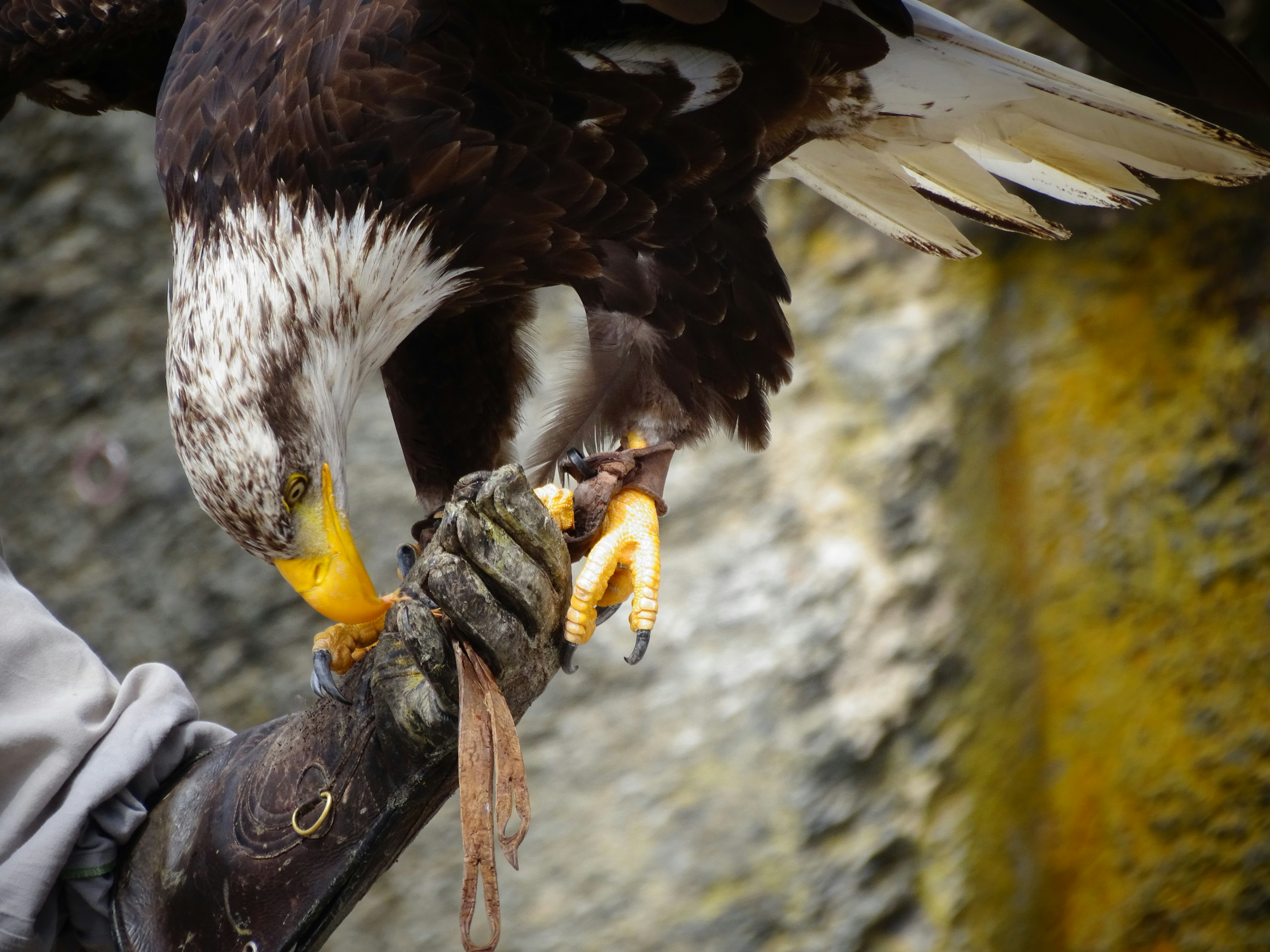 Photo by celickx_photography