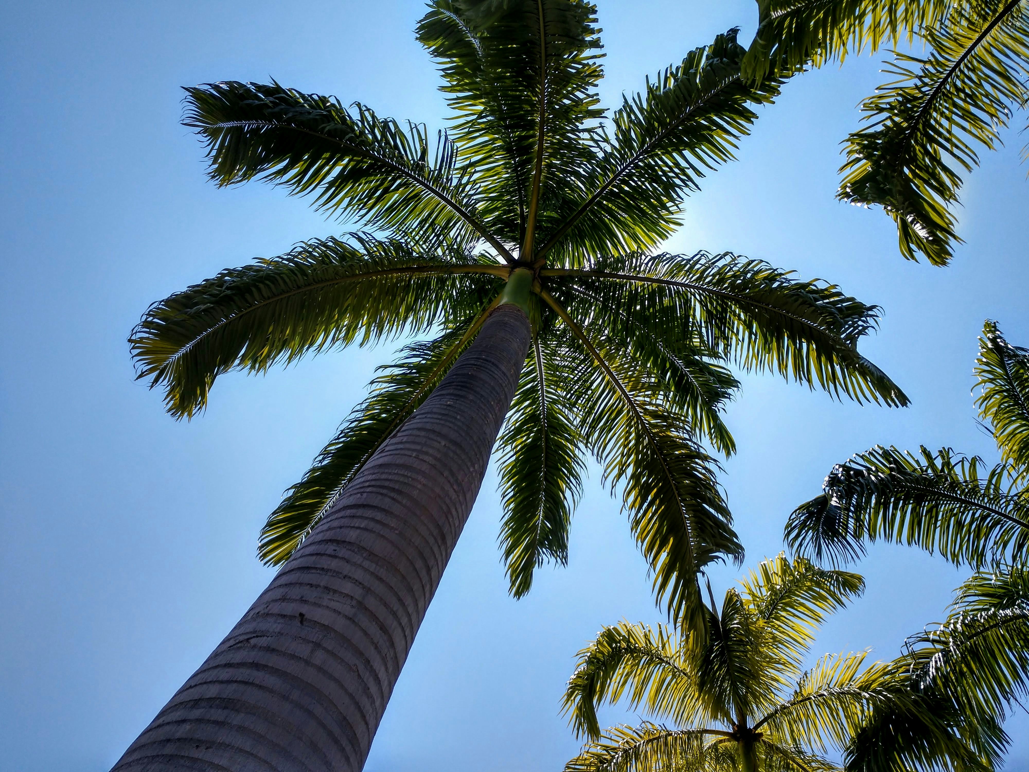 Photo by solitsocial