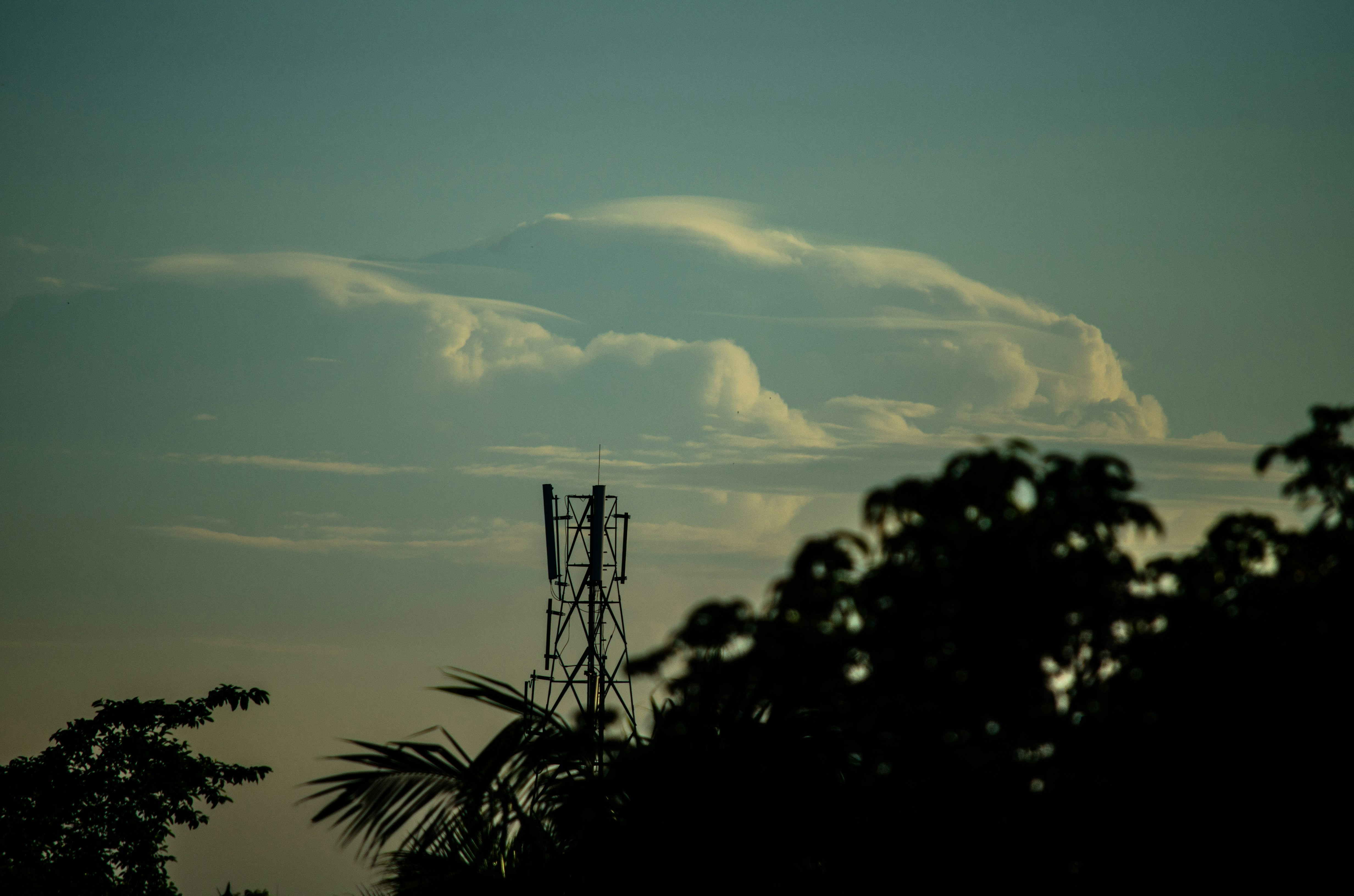 Photo by sourosouvik