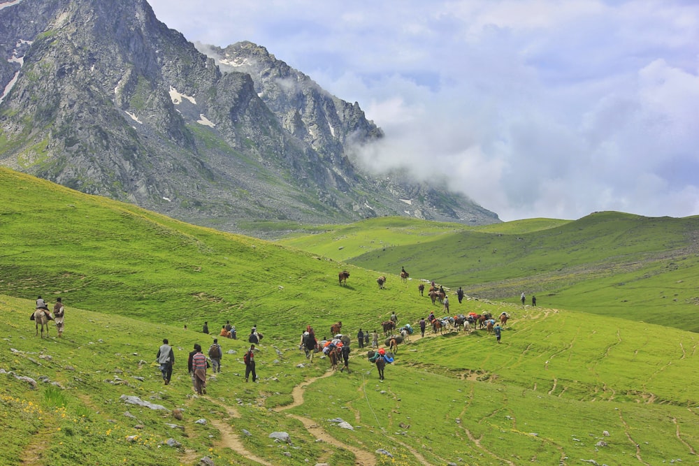 people near mountains