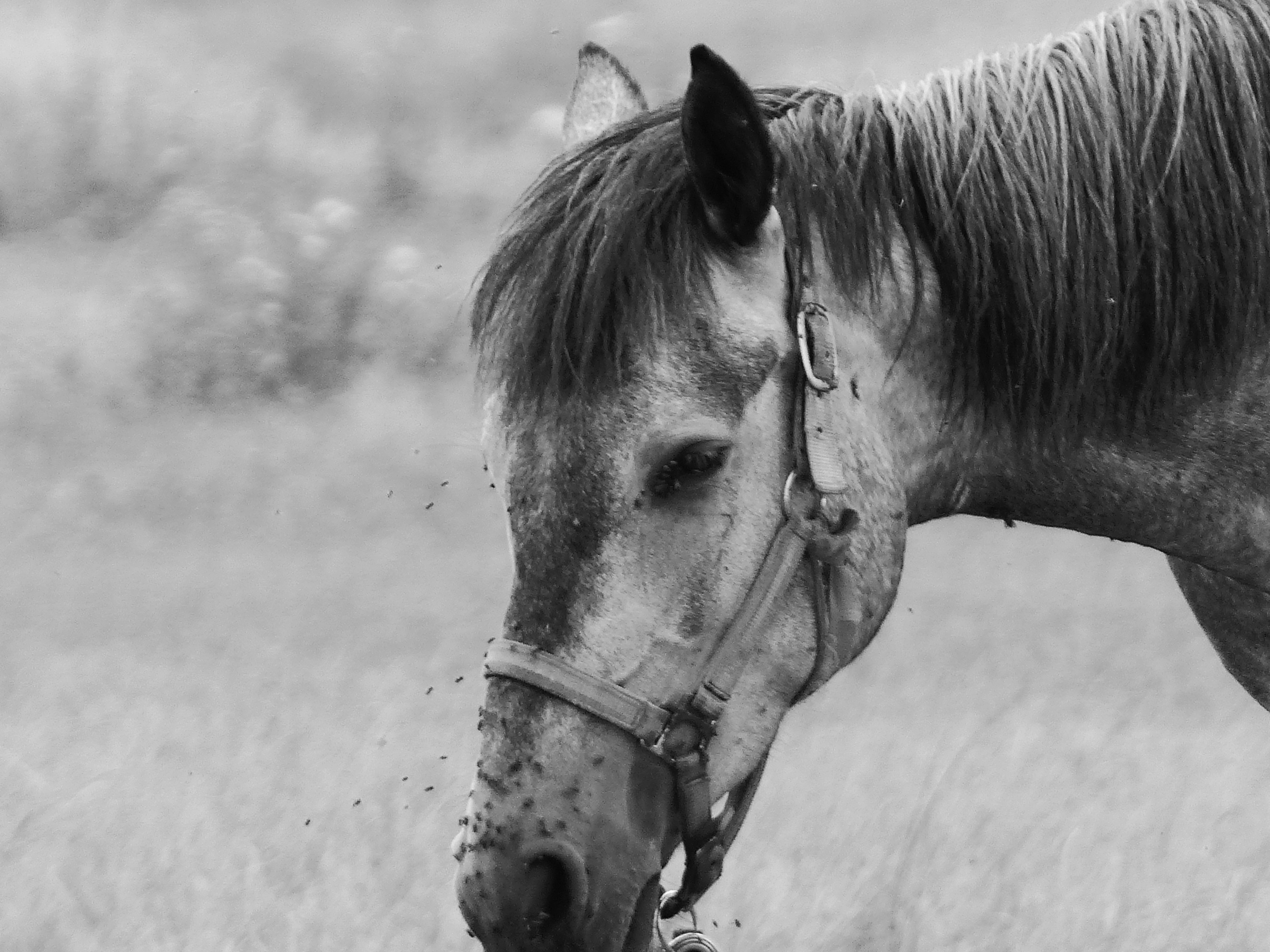 Photo by rafa_g_bonilla