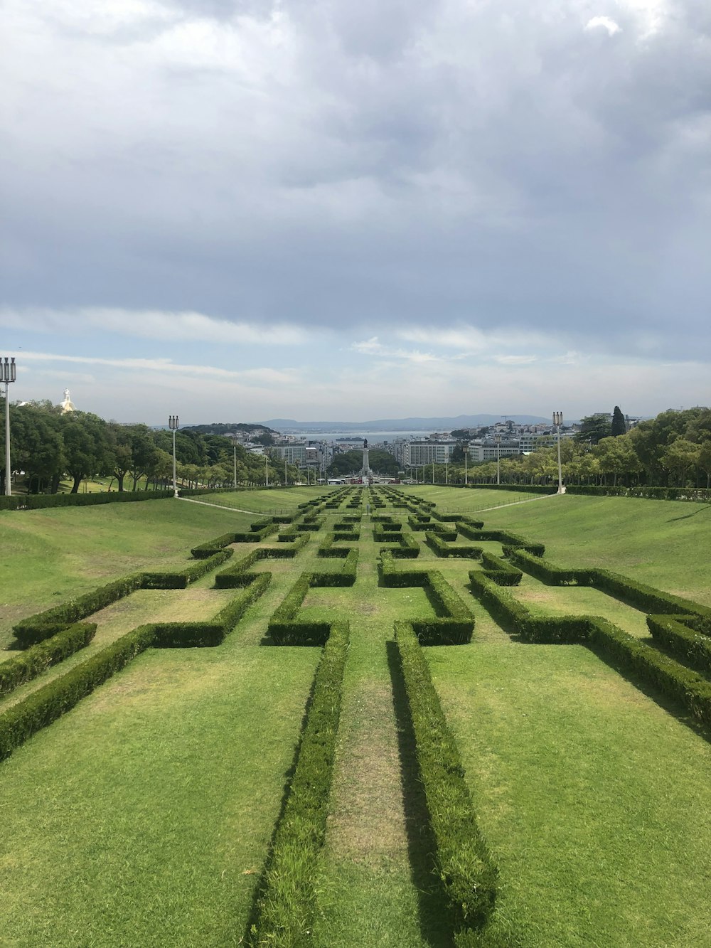 green grass field during daytime