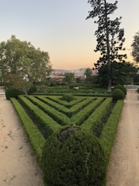 green garden during daytime