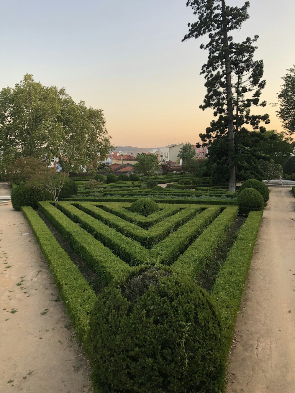 green garden during daytime