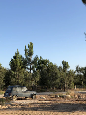 An old Bronco parked on a narrow mountain path surrounded by tall pine trees under a clear blue sky.