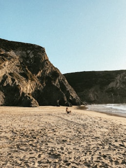 A scenic view of a traveler enjoying a peaceful moment at a sunny beach destination.