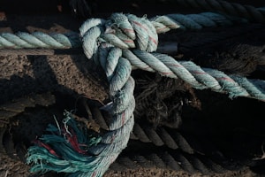 Durable Rope Tug Toy