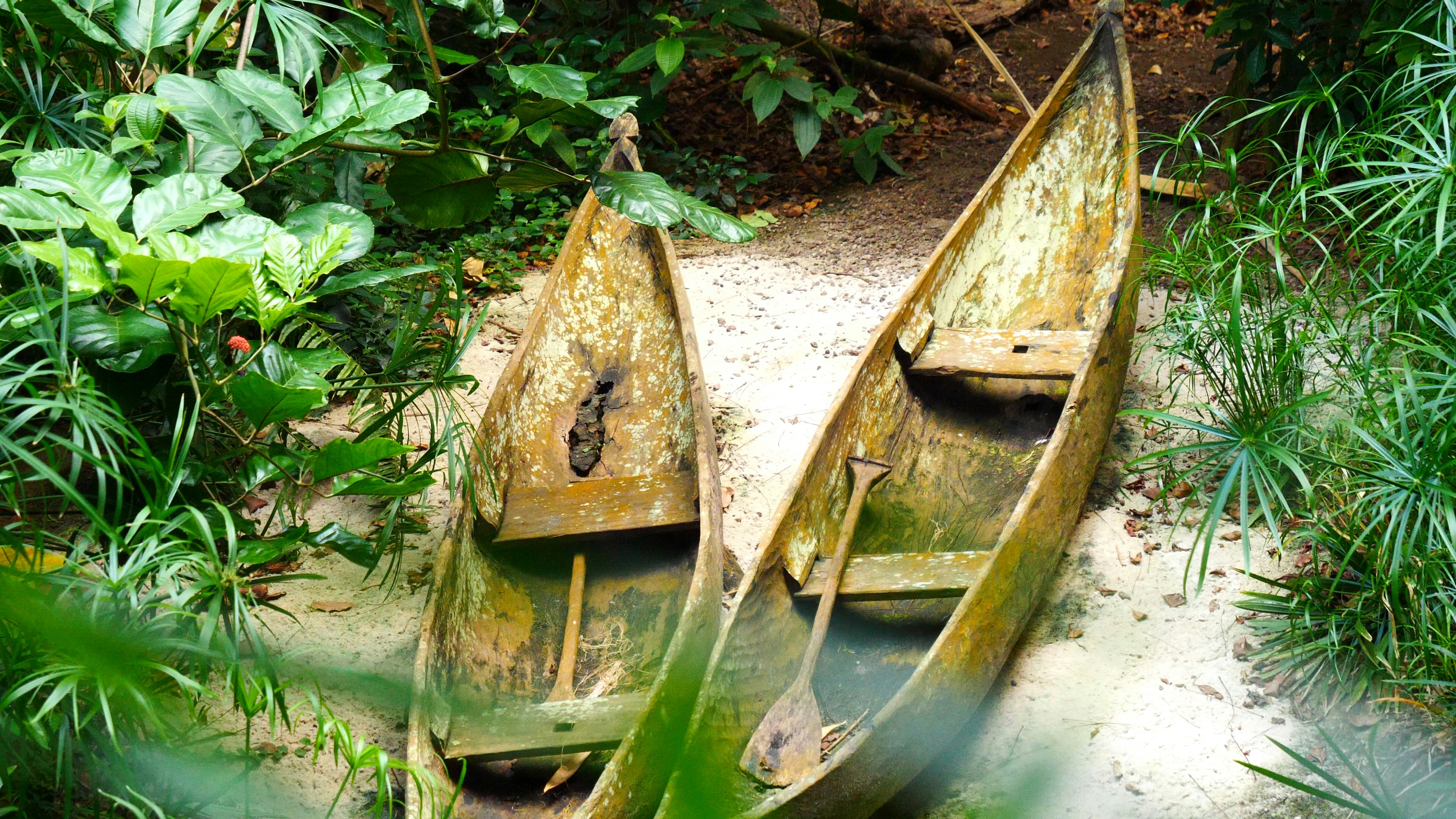 Photo by patrickbossard