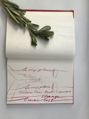 An open notebook filled with handwritten notes and doodles.