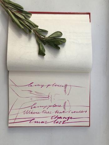 An open notebook showing a short story draft with doodles in the margins.