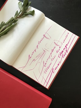 A sketchbook with an artistic line drawing of a face in pink ink on an open page, accompanied by flowing cursive writing. A branch with green leaves is placed across the book. The sketchbook rests on a dark surface with a red closed book partially visible in the foreground.