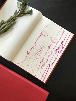 A sketchbook with an artistic line drawing of a face in pink ink on an open page, accompanied by flowing cursive writing. A branch with green leaves is placed across the book. The sketchbook rests on a dark surface with a red closed book partially visible in the foreground.